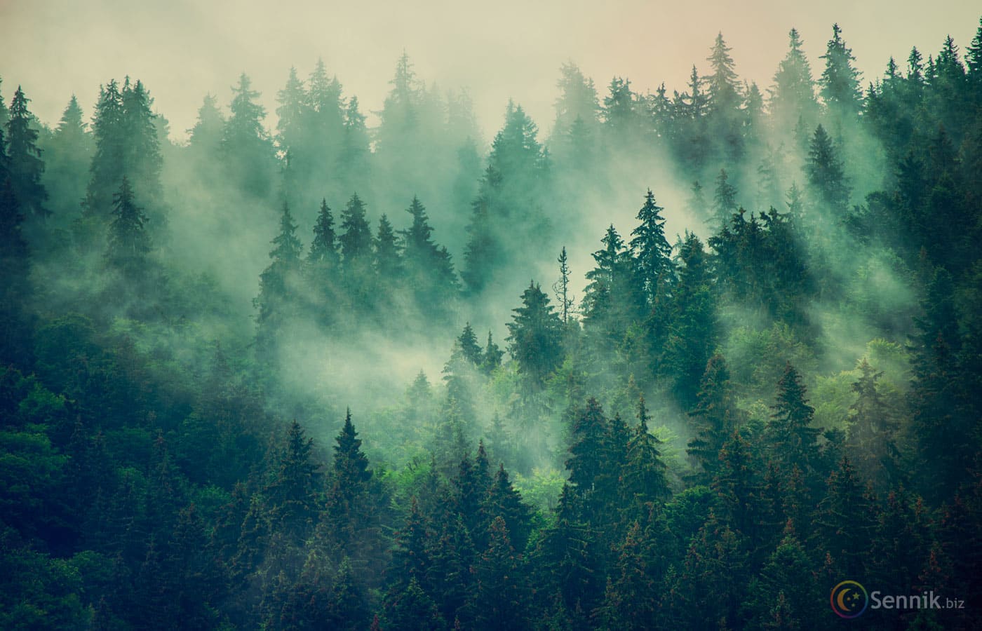 Oyun Stratejileri: Kazanma Potansiyelini Artırma